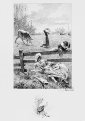 La serva Felicite e il toro, illustrazione da 